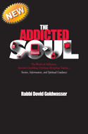 The Addicted Soul book cover
